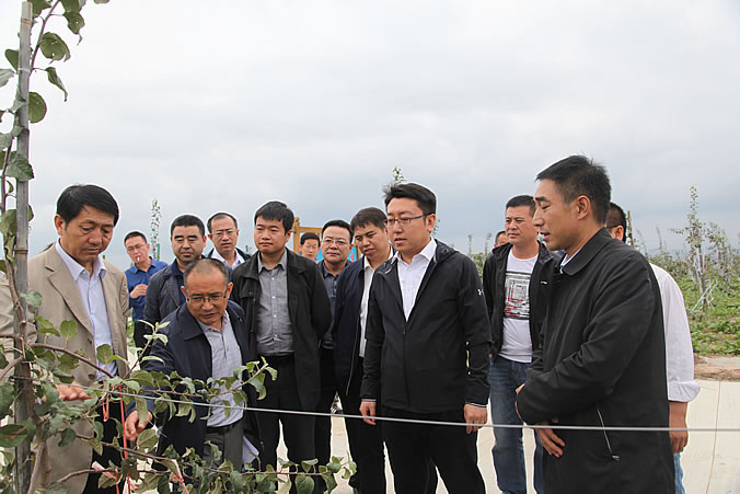 https://pic.kuaizhan.com/g3/8e/b9/1dd6-aaa5-40a9-a3f4-c6e6e10c631e09